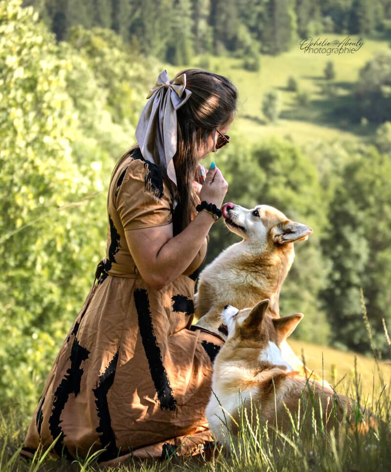 Infrastructure de la pension canine